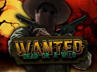 Wanted Dead or Wild